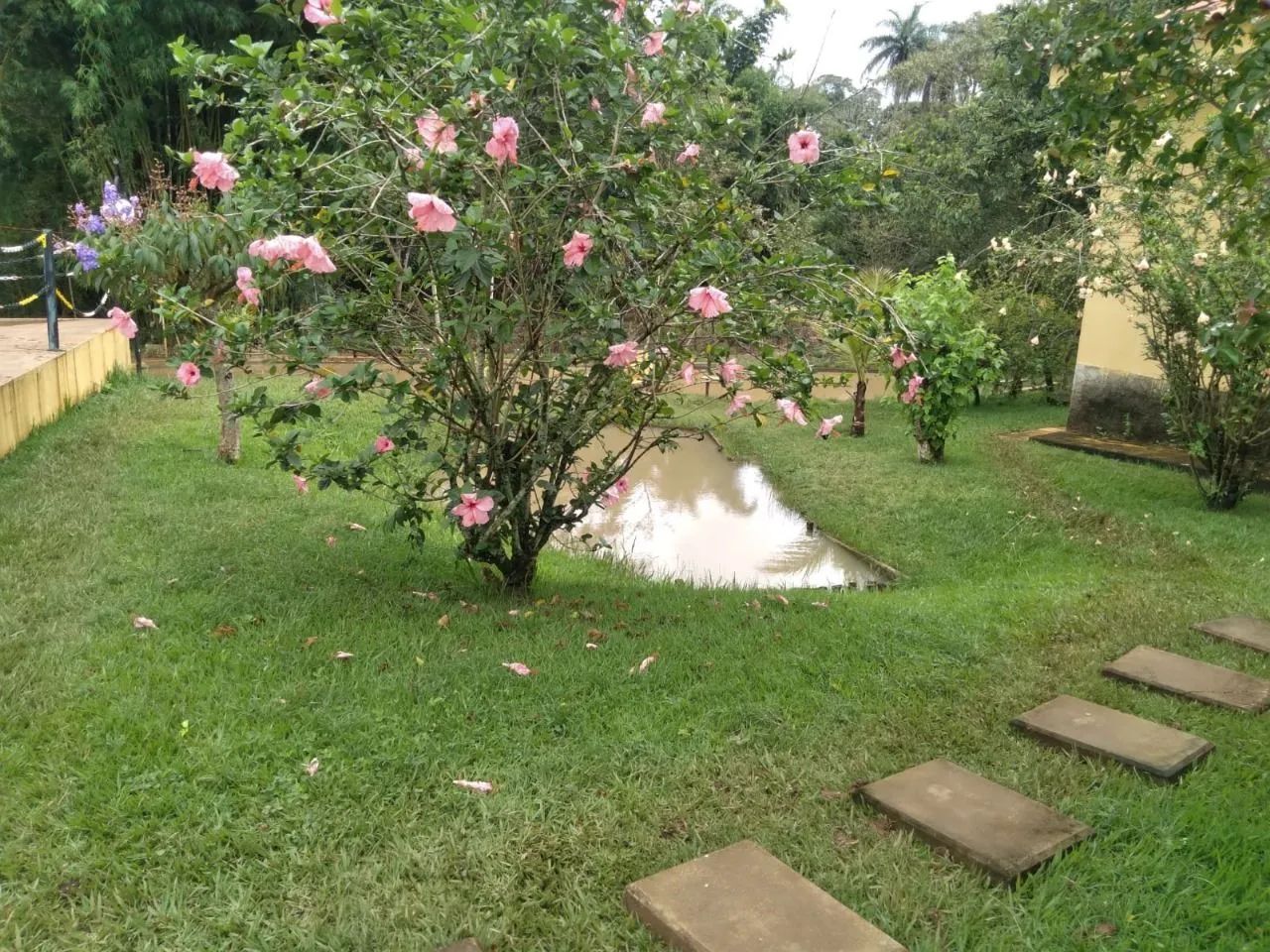 Oportunidade para você adquirir  - Foto 5
