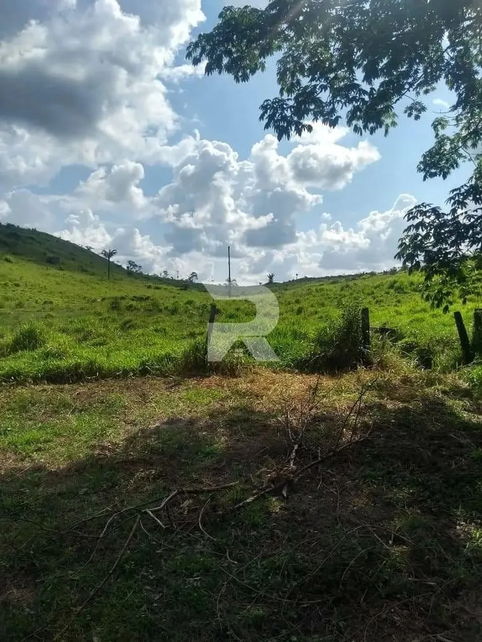Fazenda à venda, Vicinal de VILA NOVA, Mucajaí, RR