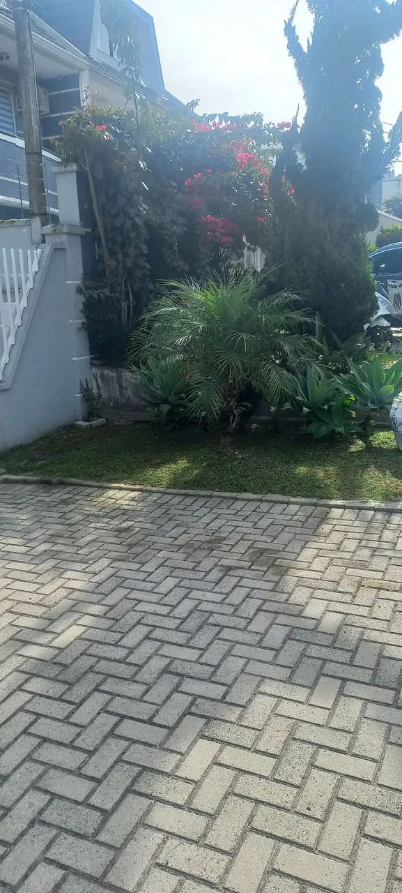 Jardinagem e paisagismo 80,00  - Foto 5