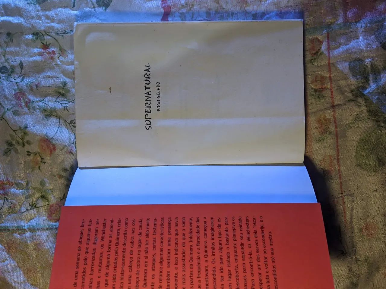 A Lista do Nunca - Koethi Zan - Foto 3