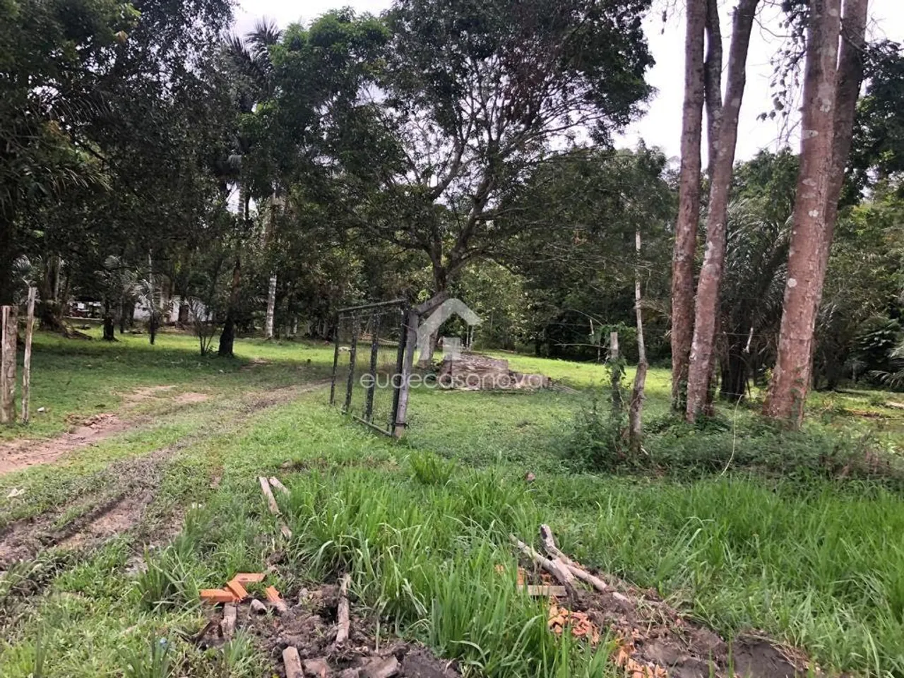 Terreno 290.000m2, KM 33 ideal para loteamento