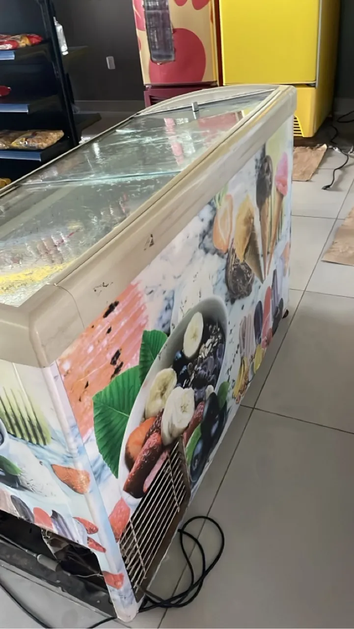 Freezer Horizontal