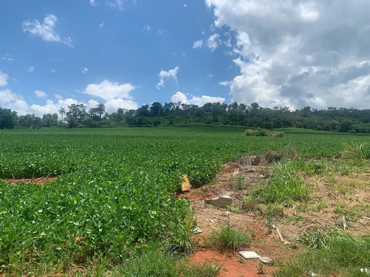 Área 4 alqueires-Cássia-MG/Delfinópolis-antes da balsa-frente rodovia