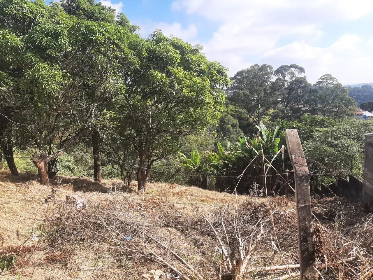 Foto - Jundiaí - Chácara Malota