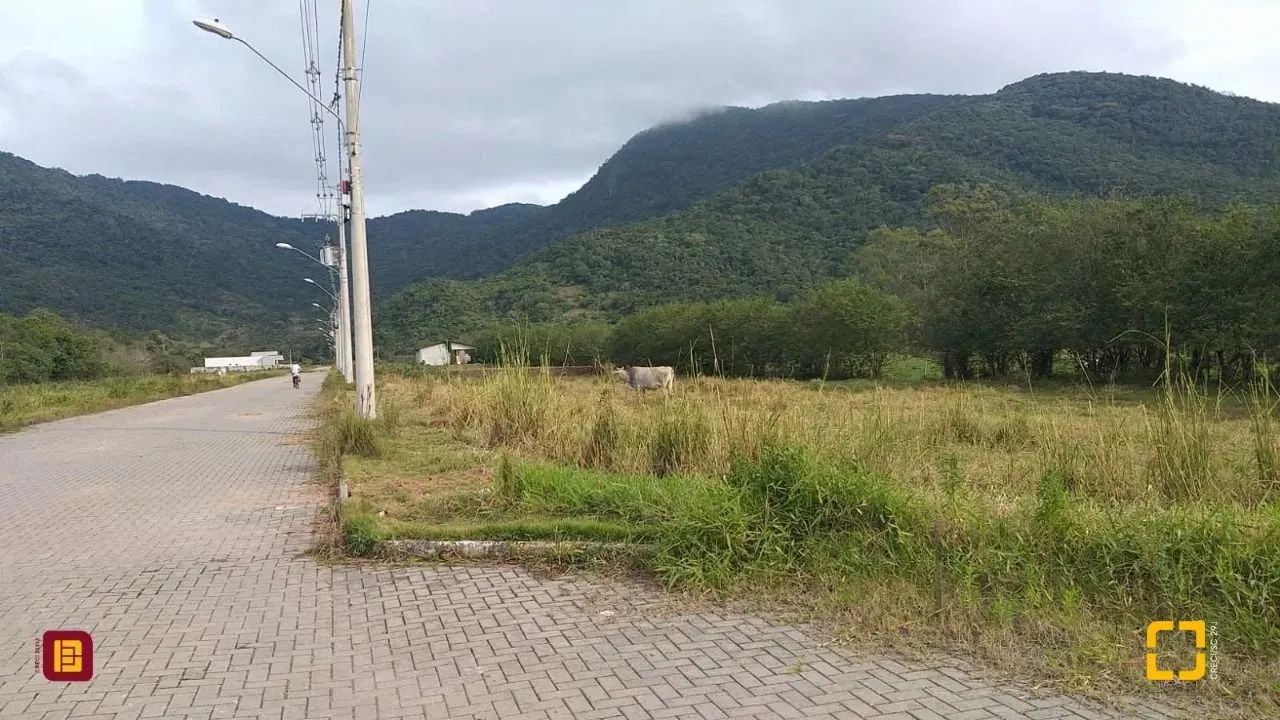 Terrenos Residenciais em Ribeirão da Ilha - Foto 4