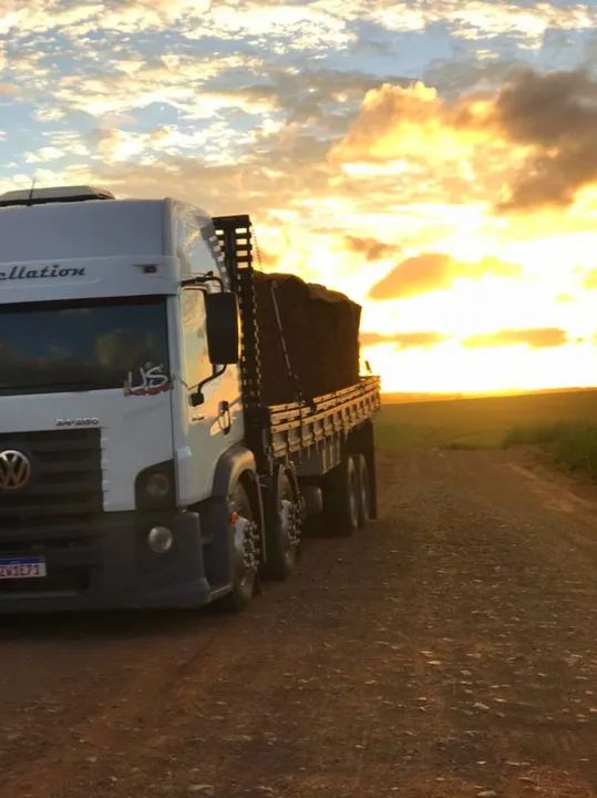 Gramas Esmeralda e Grama São Carlos Plus - Foto 2