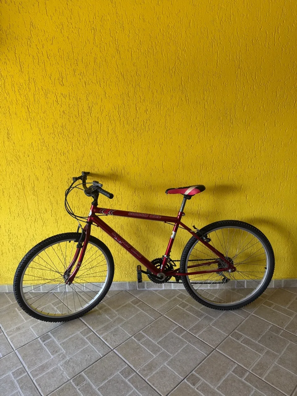 Bicicleta