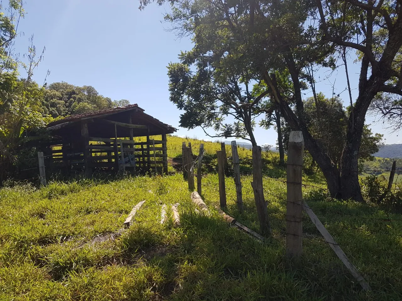 Vendo terreno na região de vargem
