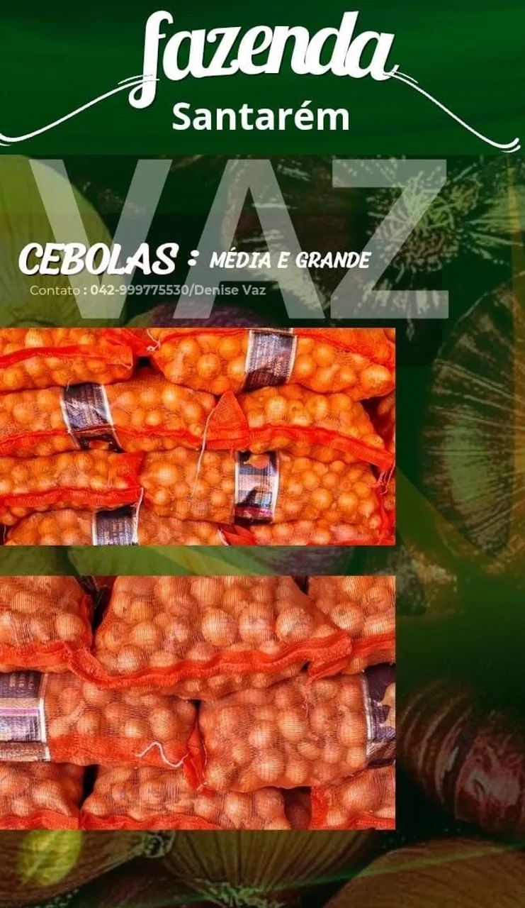 Cebola pequena, média e grande - Fazenda Santarém 