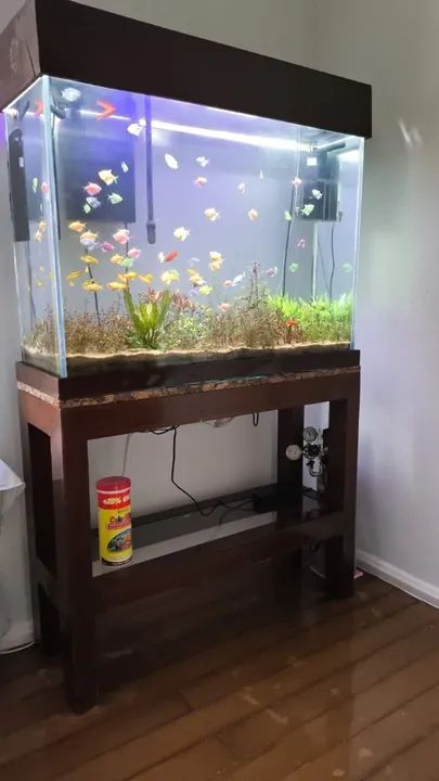 Aquário de 217 litros: 97 cm x 32 cm x 70 cm