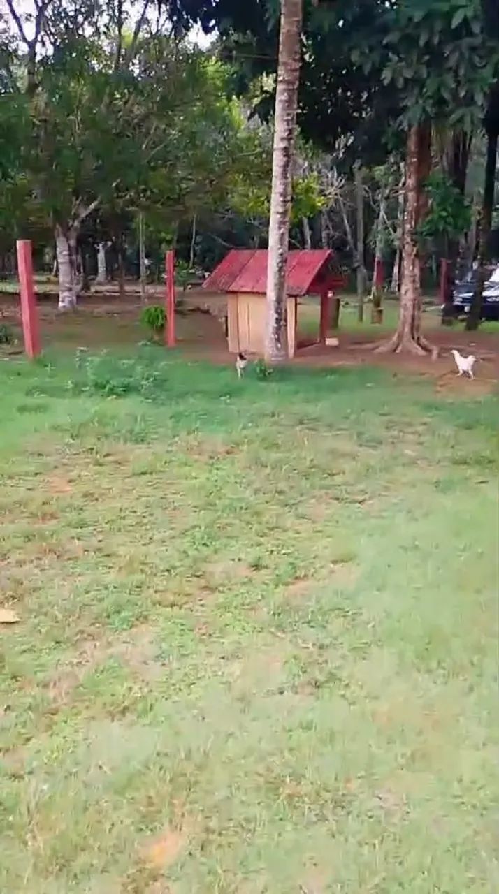 Foto - Presidente Figueiredo - Área Rural de Presidente Figueiredo