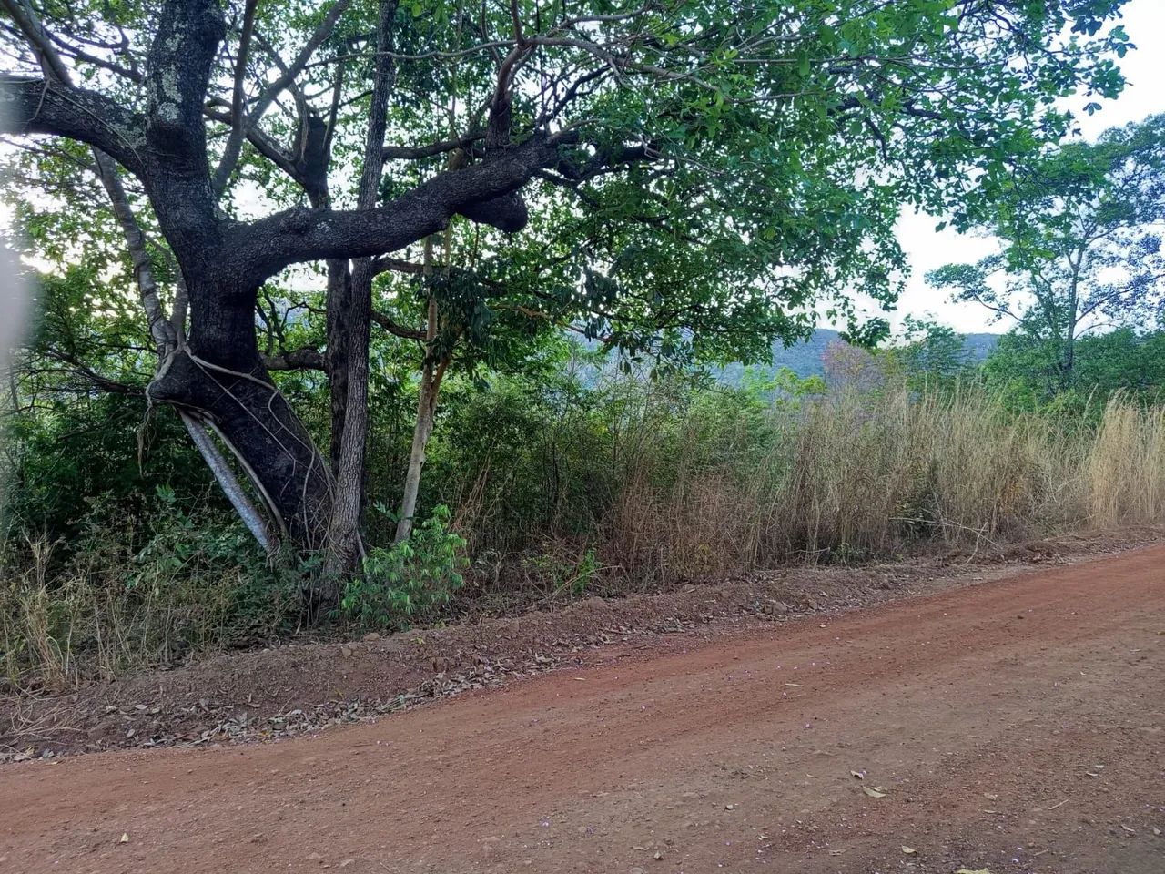 Lote próximo ao limpão, 7 km da cidade chácara - Foto 4
