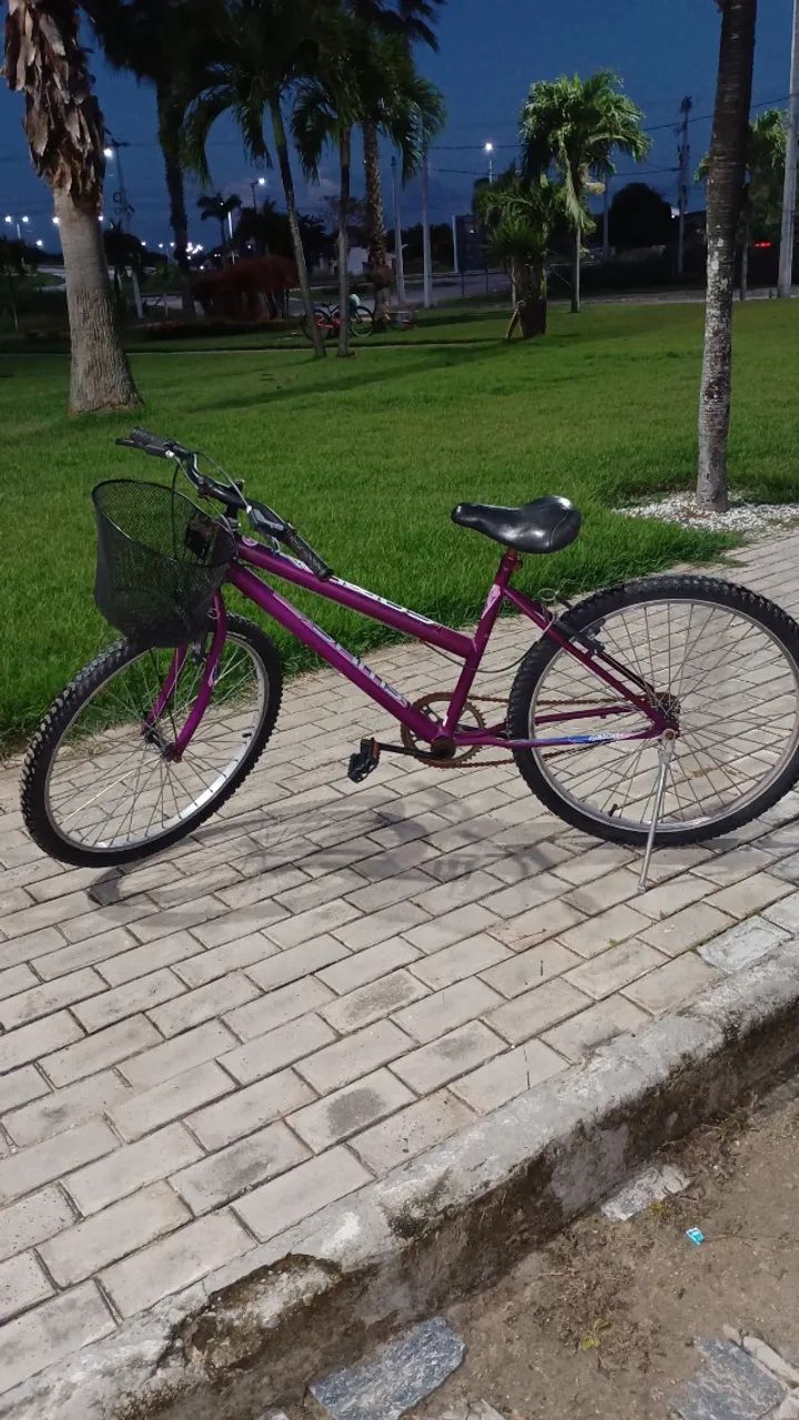 Vendo bicicleta feminina com cestinha  - Foto 2