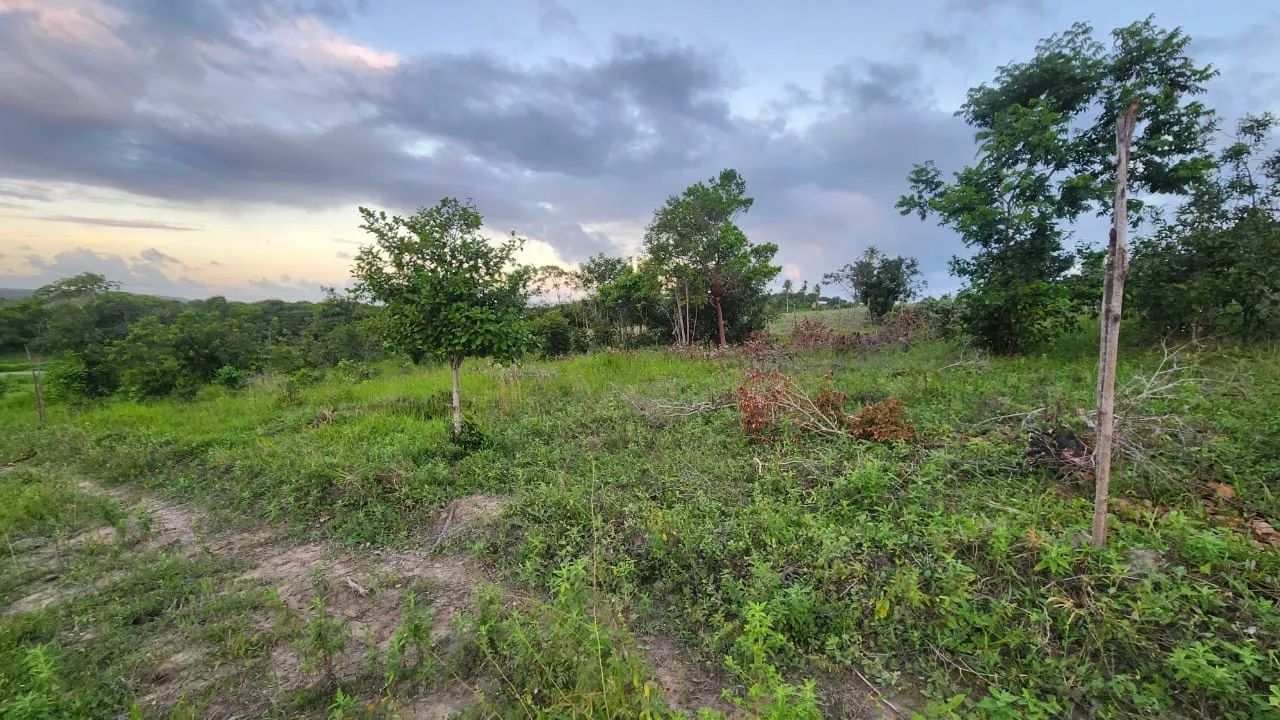 Vendo terrenos próximos a santo Amaro - Foto 2