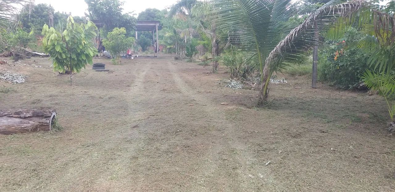 Terreno para chácara no paricatuba - Foto 5