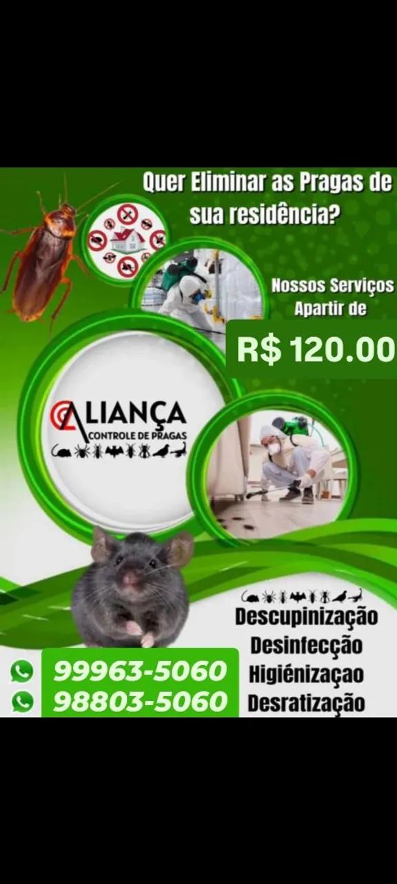 DEDETIZAÇÃO  # CASA E APARTAMENTO - Foto 2