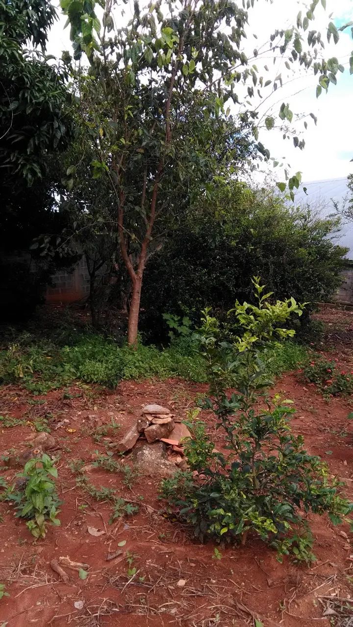 TERRENO EM COROAS - Foto 3