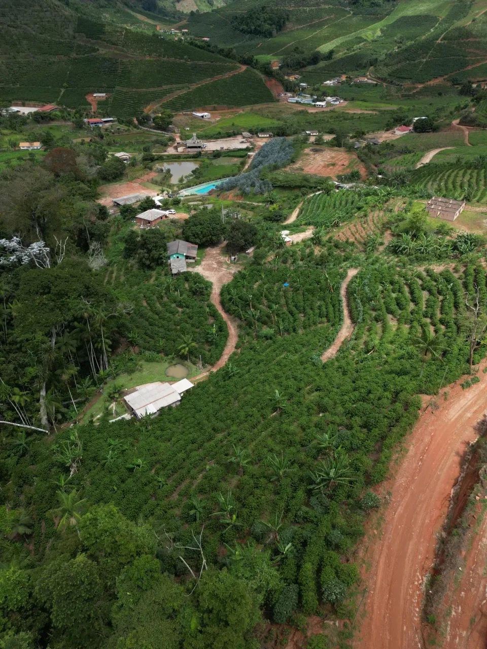 Sitio com mata e riacho - Foto 5