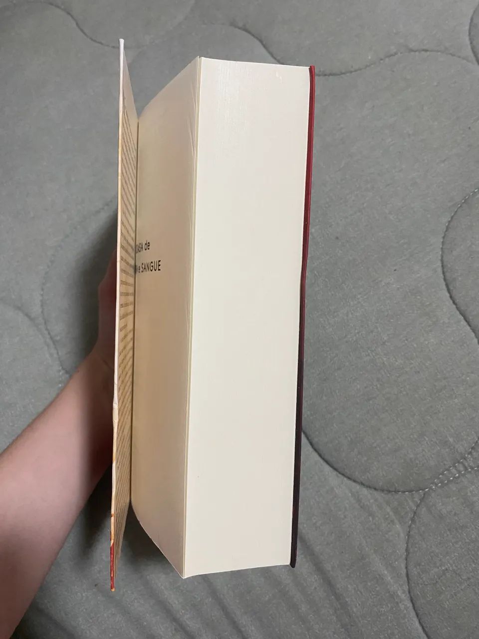 Livro: Cidade da Lua Crescente (novo) - Foto 2