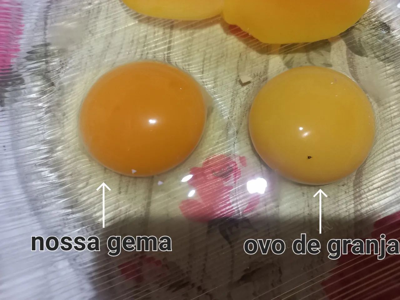 Ovos caipira  - Foto 4