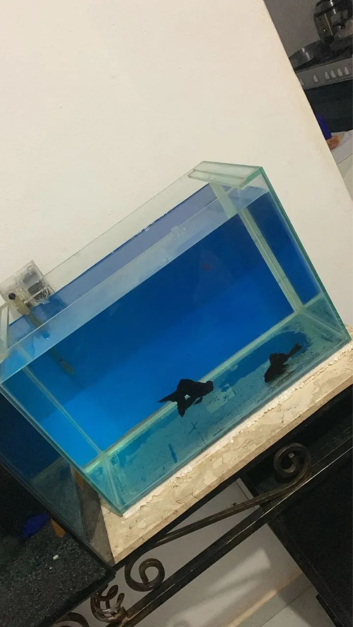 Aquário 50x25x35 