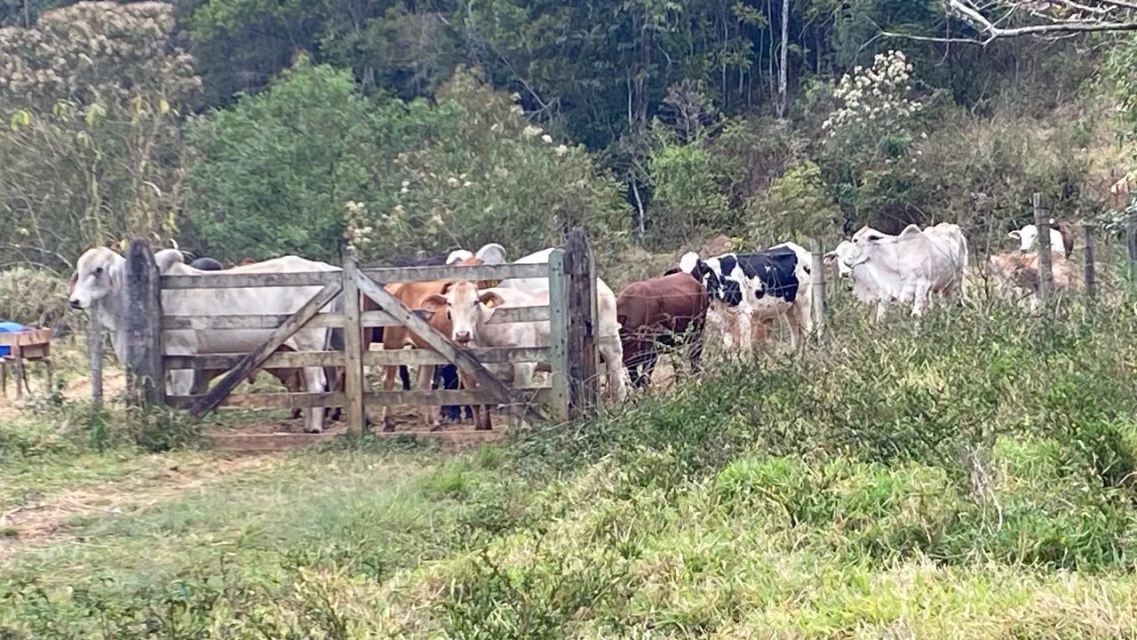 Vaga trabalhador rural (casal) - Foto 2