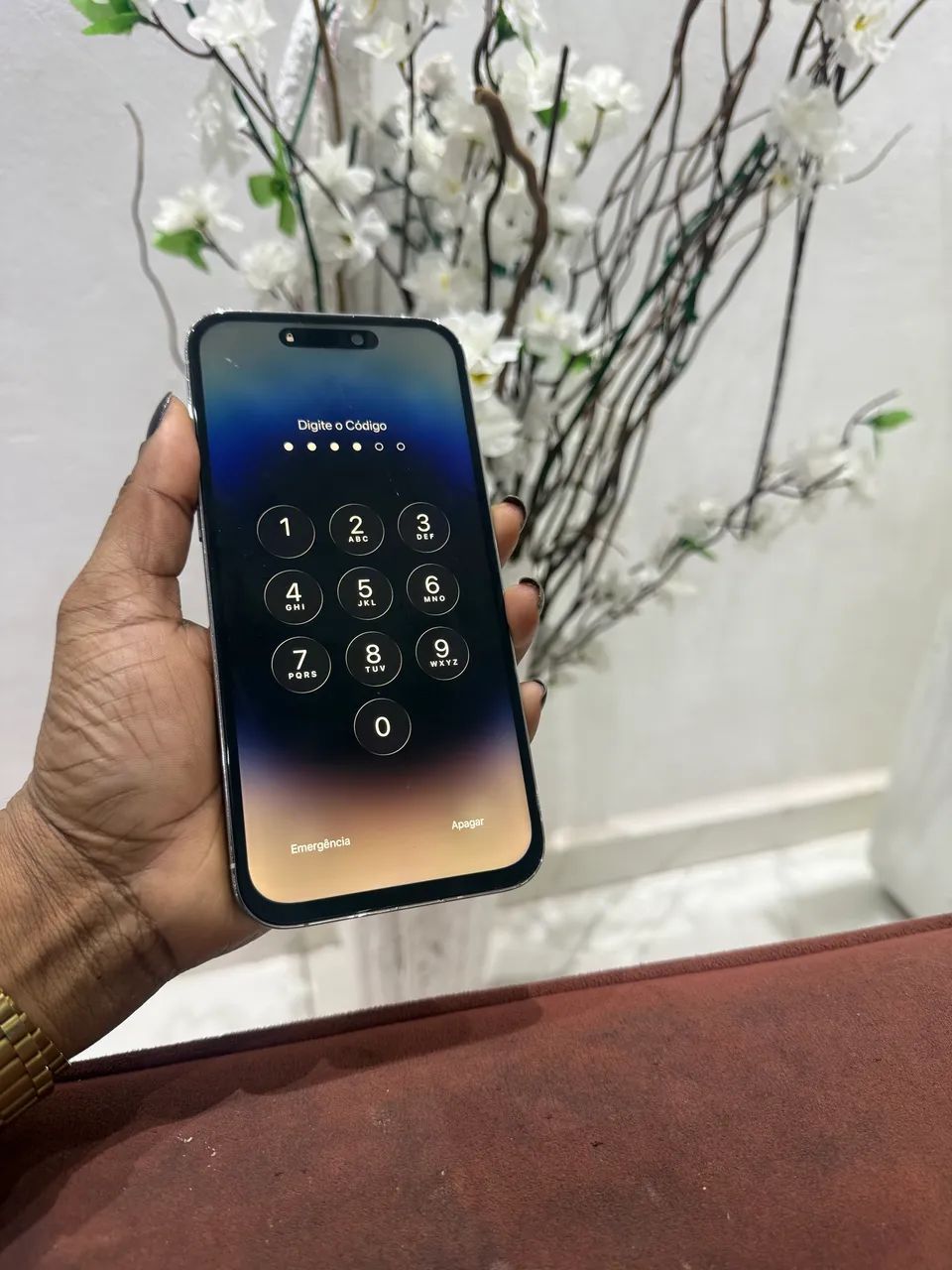 iPhone 14 Pro Max 