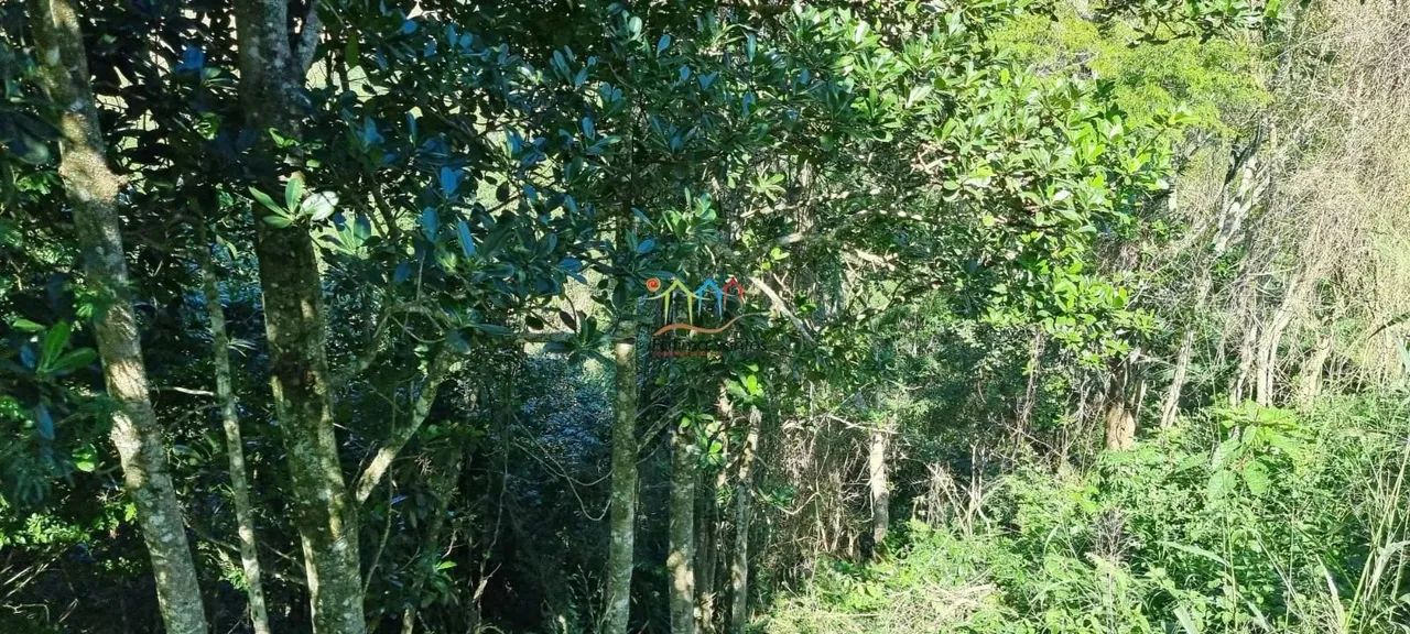 Terreno a venda em Ilhabela - Foto 4