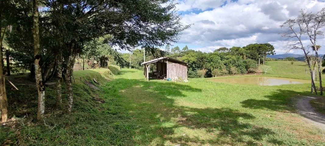 Terreno em Rancho Queimado com aproximadamente 2,5 hectares - Foto 5