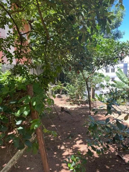 Terreno para Venda em Florianópolis, Coqueiros - Foto 3