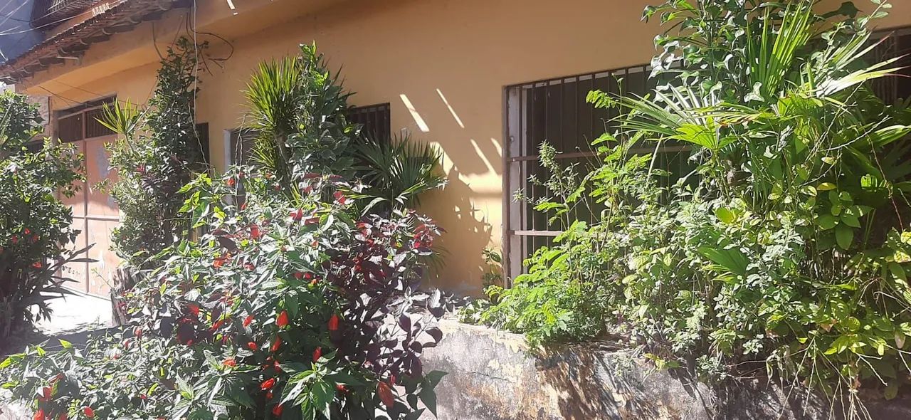 Alugo casa,para / depósito( outros finalidades) - Foto 2