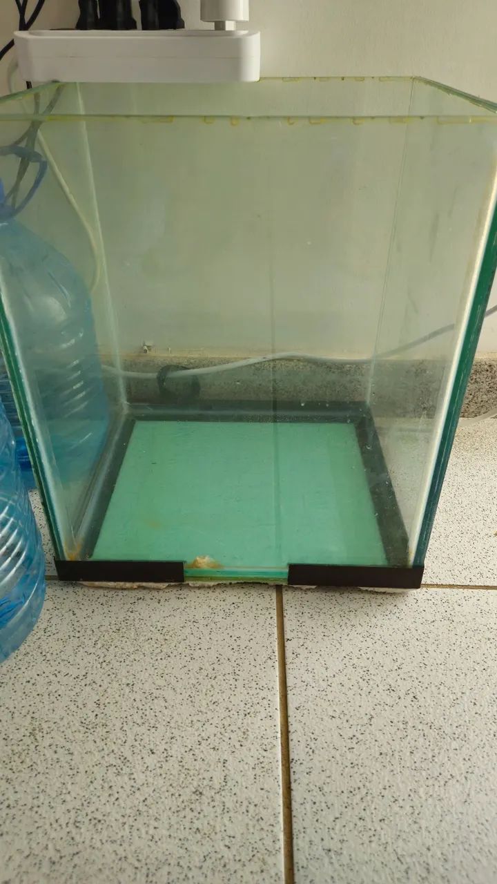 Aquario