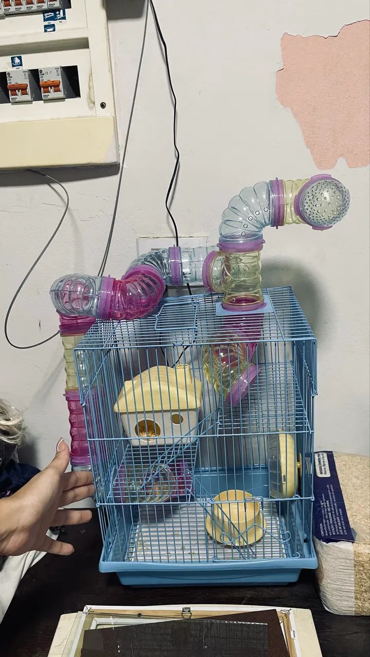 Gaiola De Hamster435653741842288641