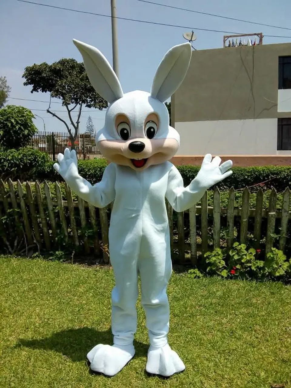 Coelhinho da Páscoa últimas vagas.