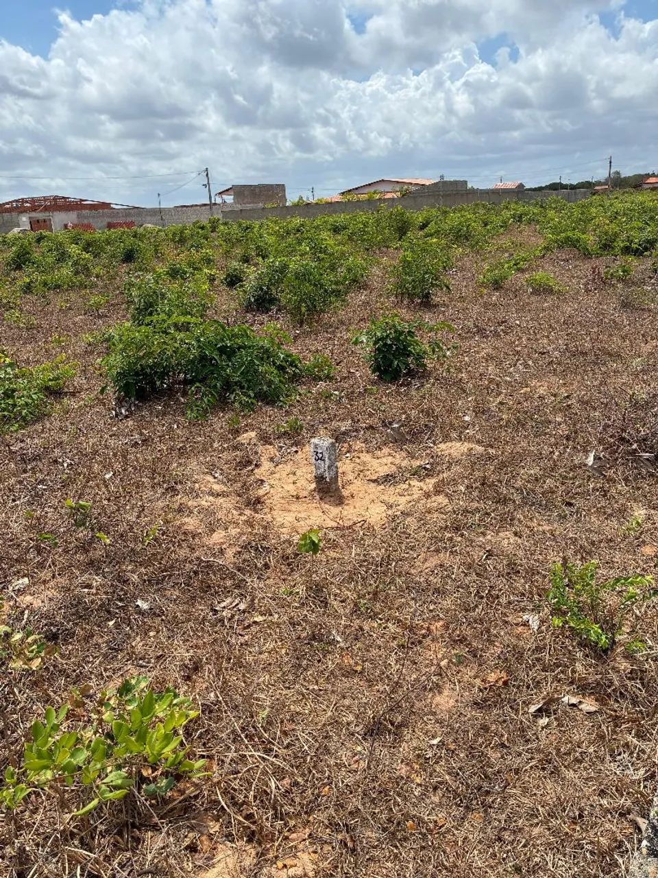 Lote em Paraipaba  - Foto 4