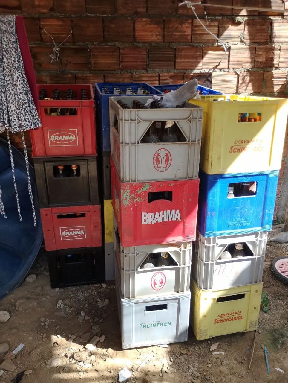 Gradeados de cervejas - Foto 2