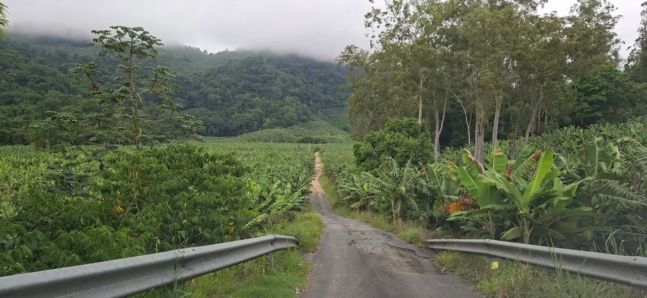 Sitio em Miracatu