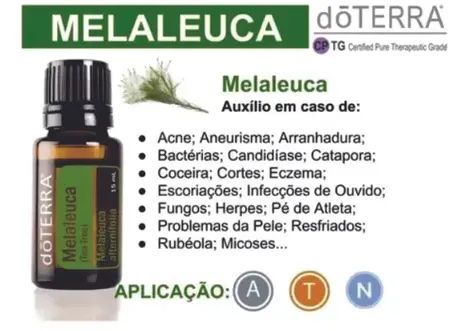 Melaleuca/oleo essencial/doTERRA 15ml - Foto 2