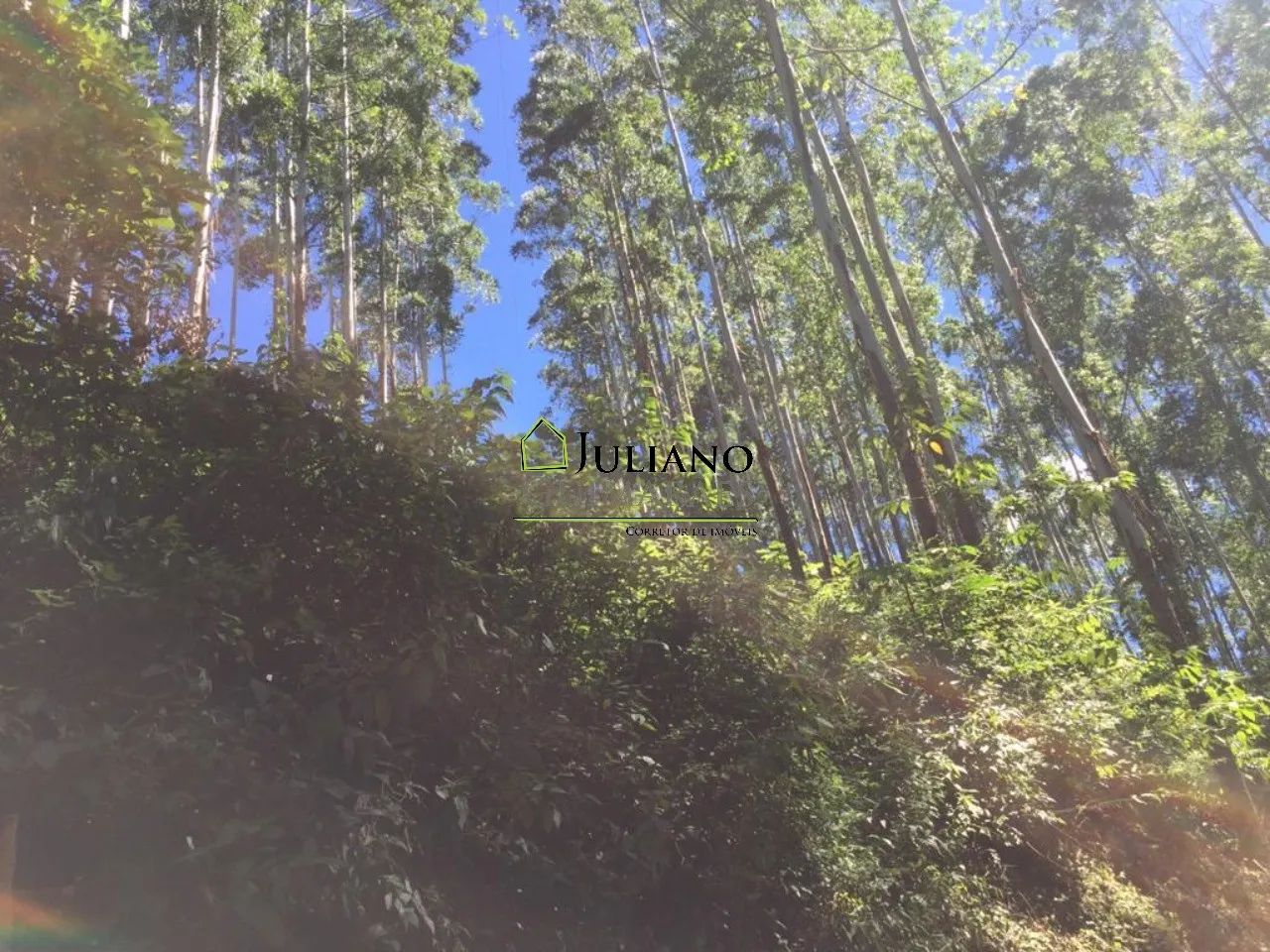 TERRENO À VENDA, em LEOBERTO LEAL - SC - Foto 5