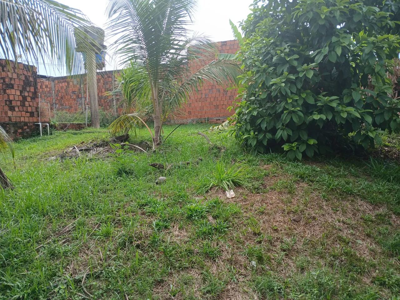 Vende-se  - Foto 2