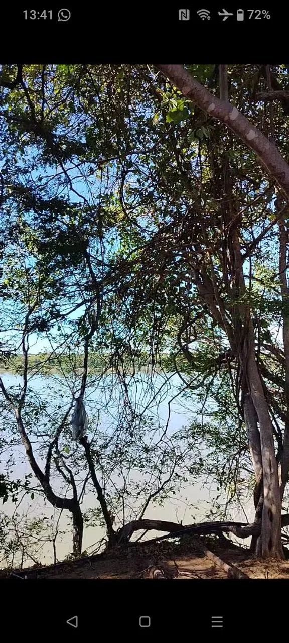 Terreno as margens do Rio São Francisco 