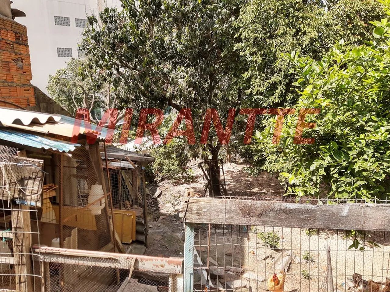Terreno em Santa Ines - Foto 3