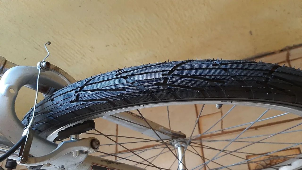 Aro26 adulto  - Foto 4