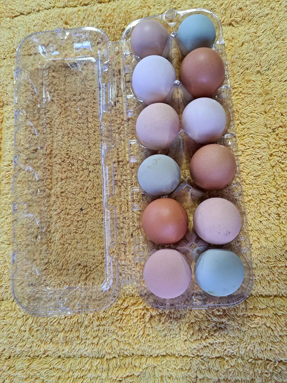 Ovos - Foto 2