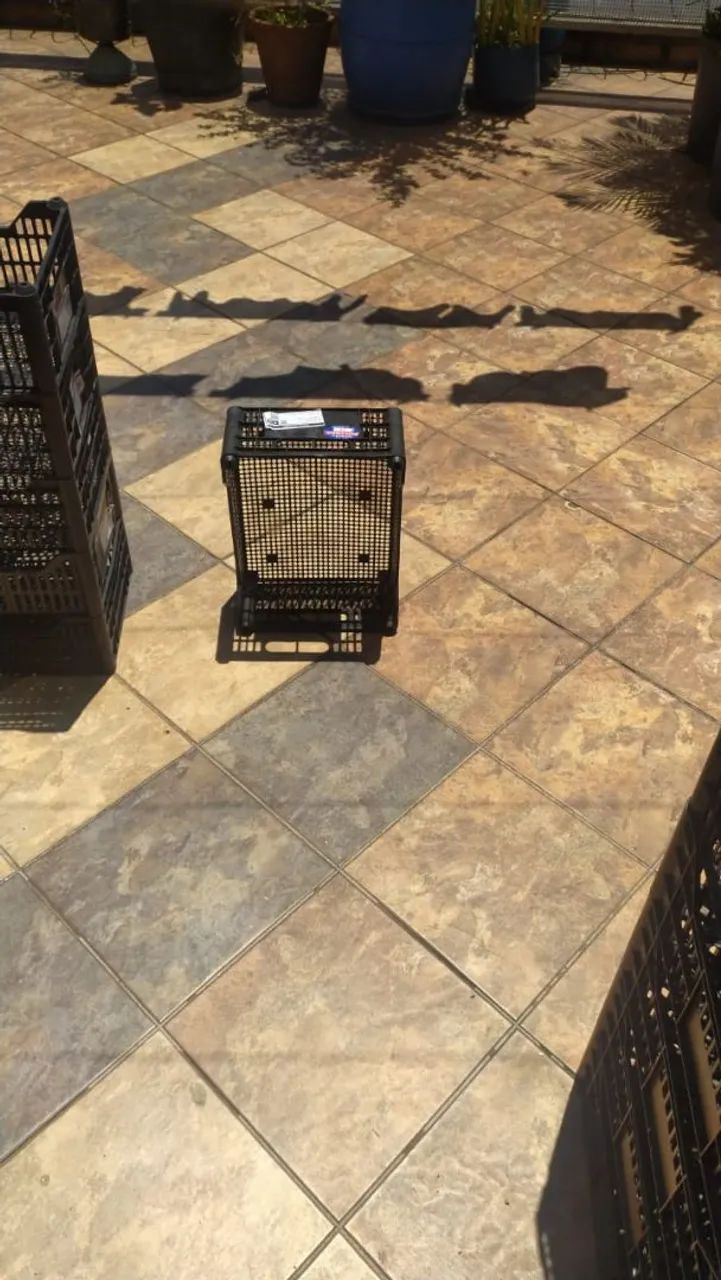 CX plástica 30X40  - Foto 2