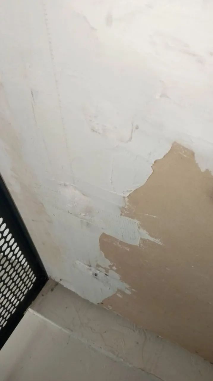 Pinturas em geral .interna e externa.trabslho na cadeirinha - Foto 5