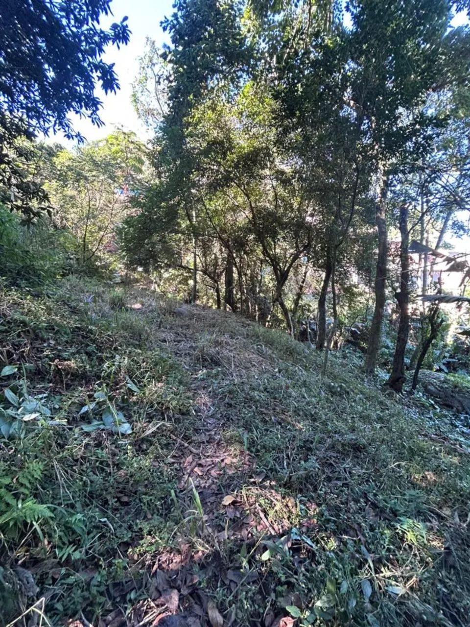 Vende-se Terreno 10x18 no saco dos limoes - Foto 3