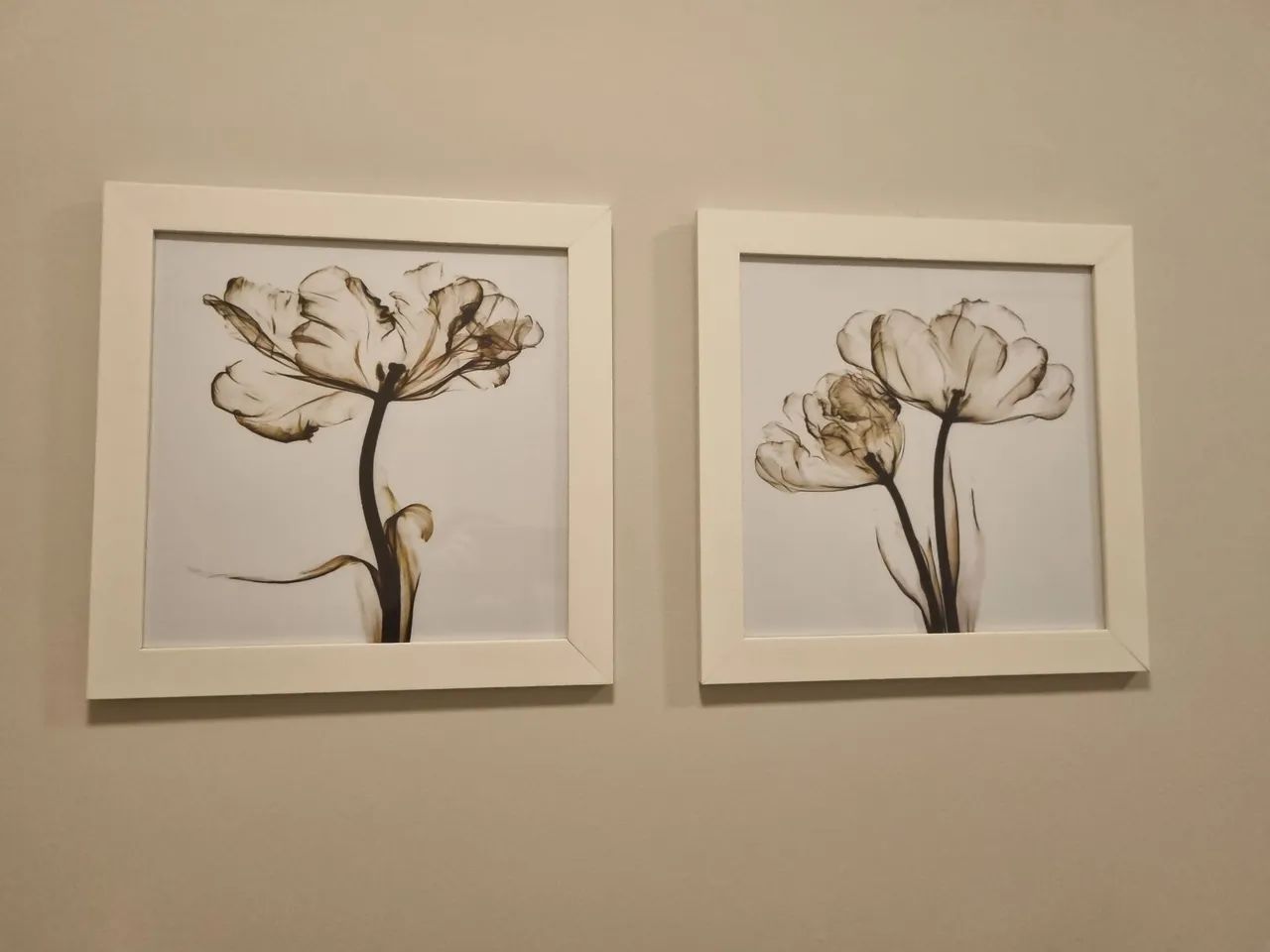Quadros