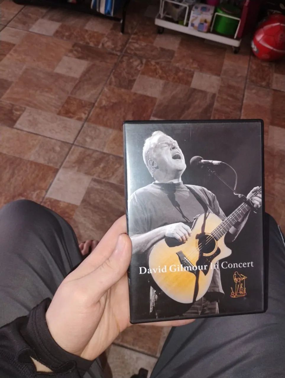 David Gilmour - David Gilmour in Concert - DVD ORIGINAL