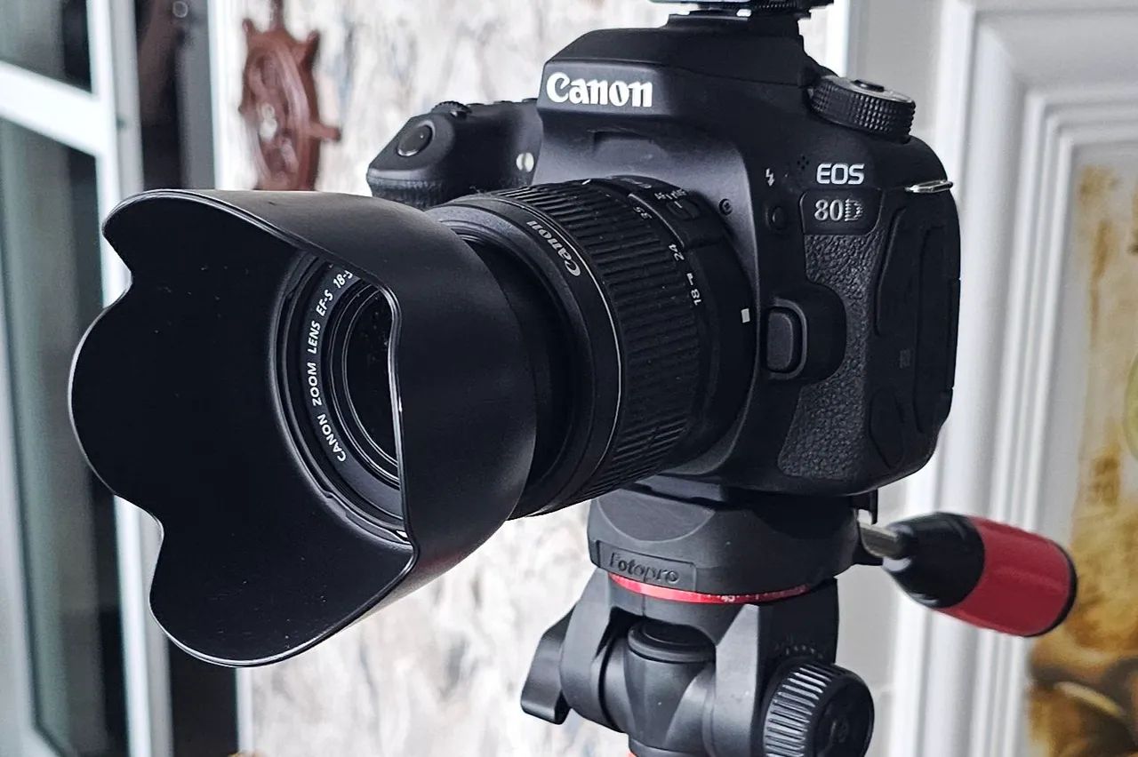 Câmera Canon EOS 80D com Flash Speedlite